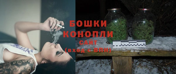 ПСИЛОЦИБИНОВЫЕ ГРИБЫ Верея