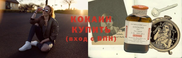 ПСИЛОЦИБИНОВЫЕ ГРИБЫ Верея