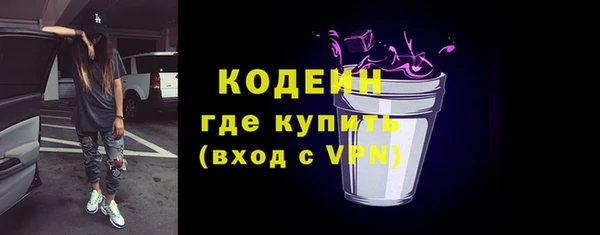 ешки Дубна