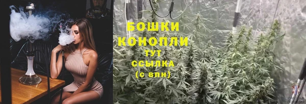 ПСИЛОЦИБИНОВЫЕ ГРИБЫ Верея