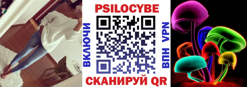 купить наркотики цена  Новоржев  Псилоцибиновые грибы GOLDEN TEACHER 