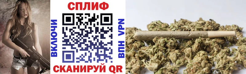 Марихуана конопля Новоржев